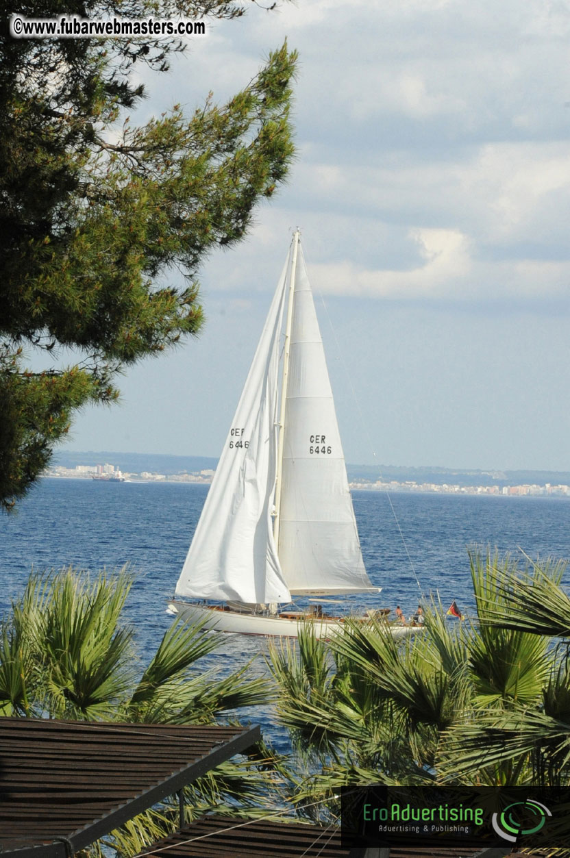 MOMO Afternoon Webmaster Party & BBQ