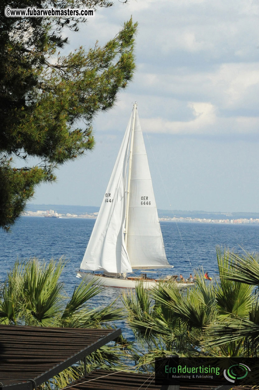 MOMO Afternoon Webmaster Party & BBQ