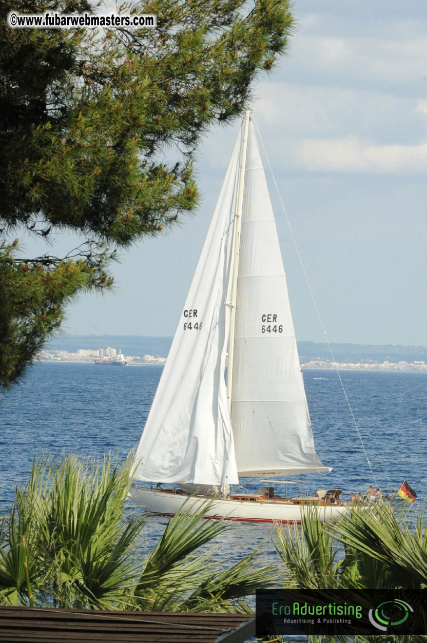 MOMO Afternoon Webmaster Party & BBQ