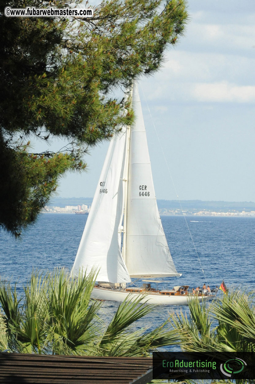 MOMO Afternoon Webmaster Party & BBQ