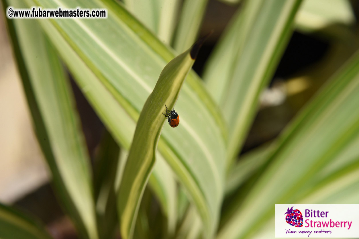 Afternoon Networking Party 