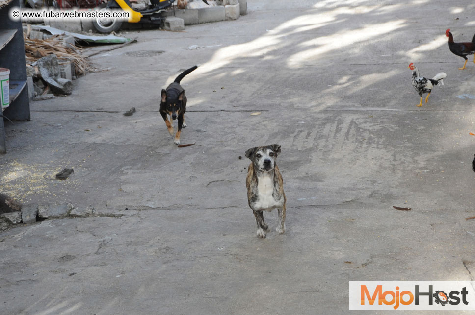 The  Extended Weekend