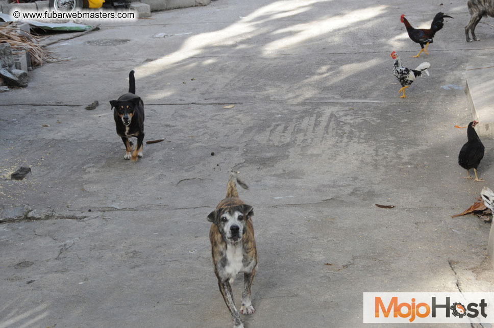 The  Extended Weekend