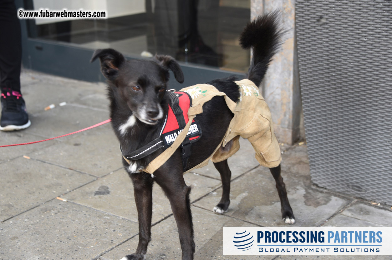 Arrivals, Reception & Registration