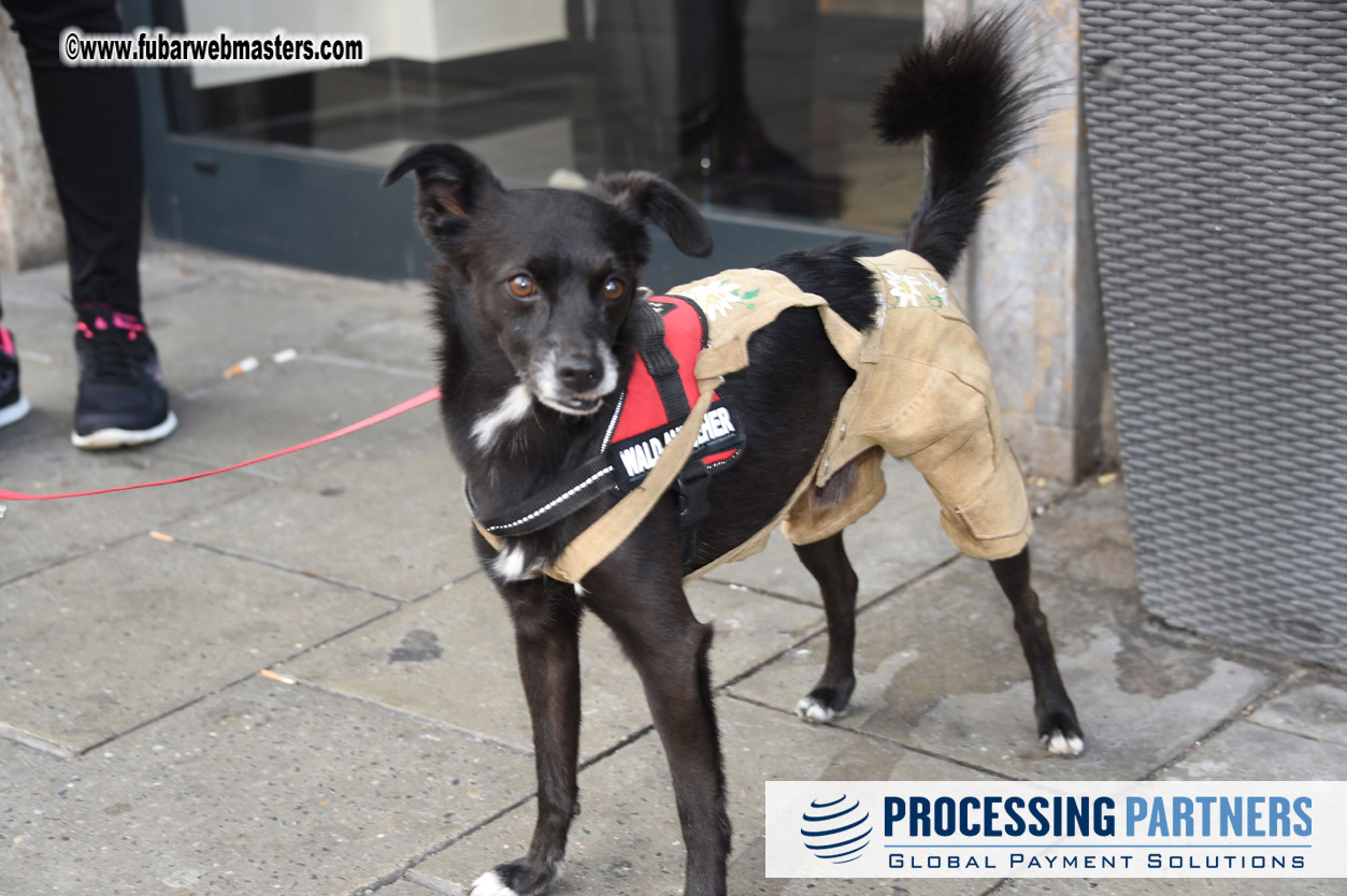 Arrivals, Reception & Registration