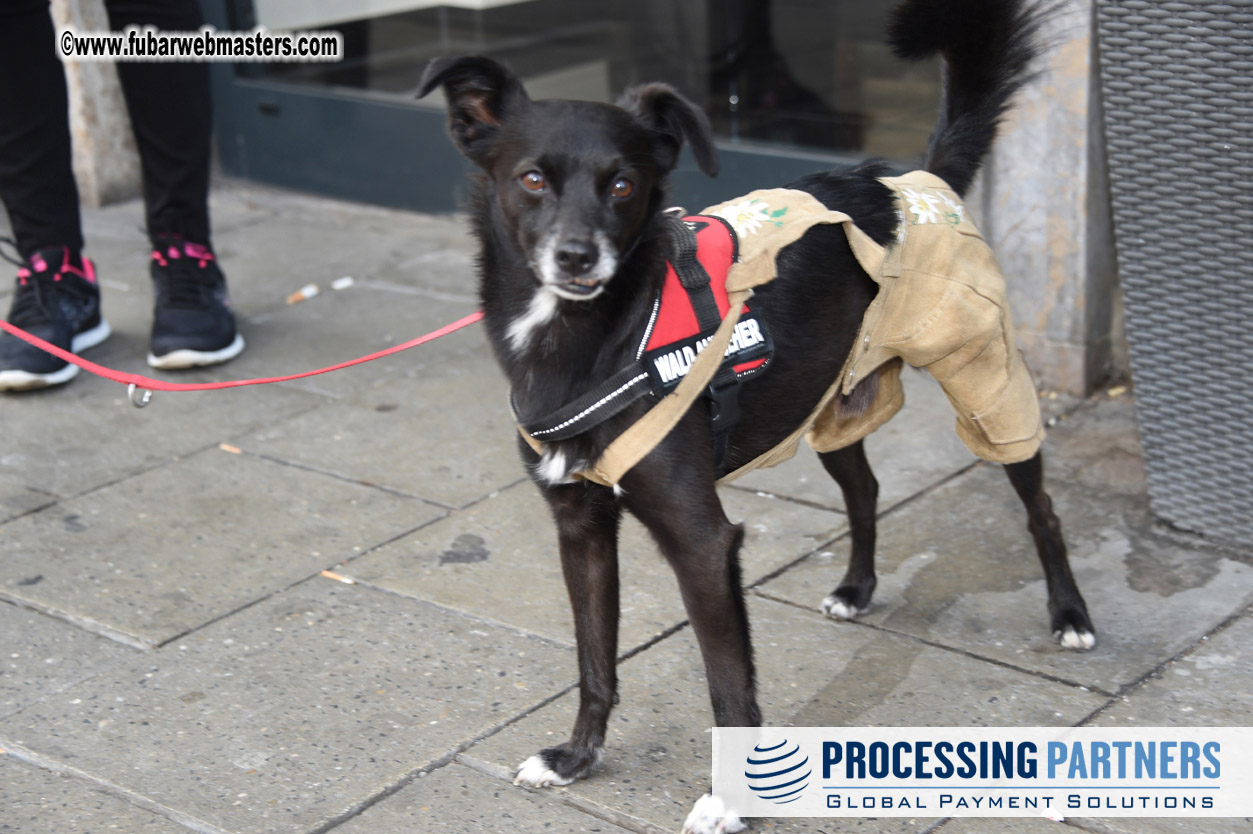 Arrivals, Reception & Registration