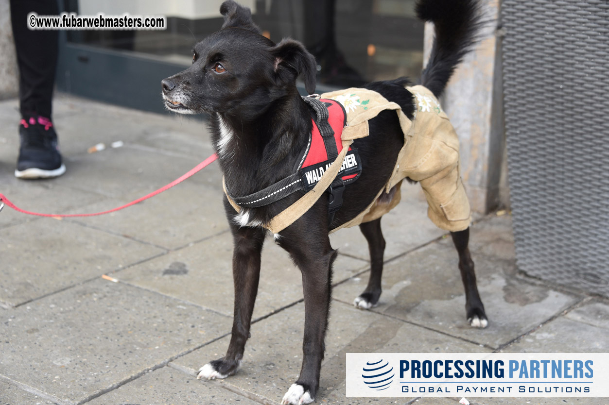 Arrivals, Reception & Registration