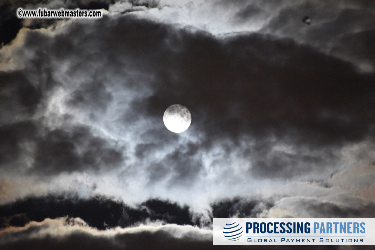 Day 2 beer tent seating - part 2