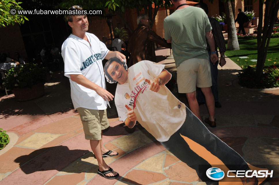 The Tempe Mission Palms