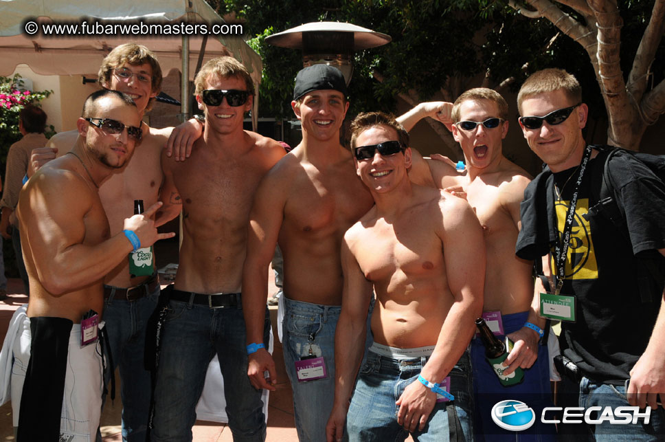 The Tempe Mission Palms