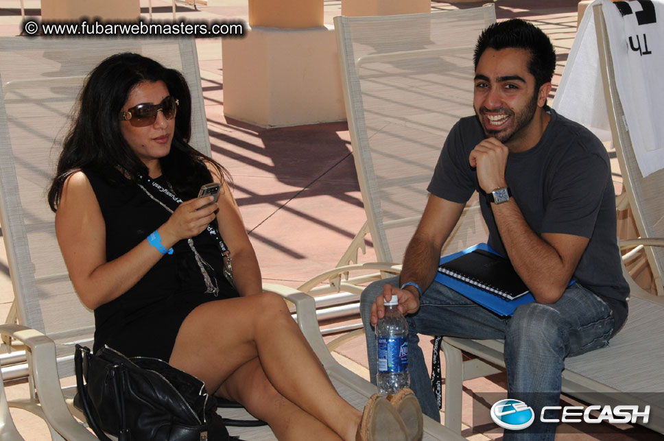 The Tempe Mission Palms