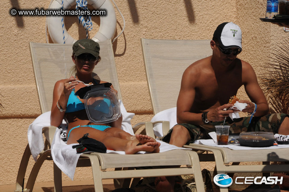 The Tempe Mission Palms