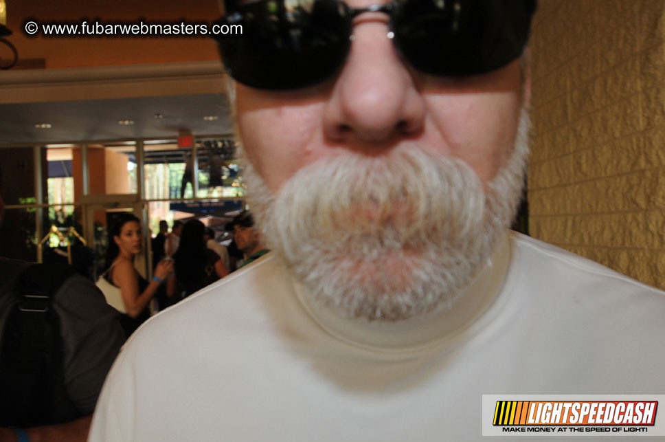 The Tempe Mission Palms