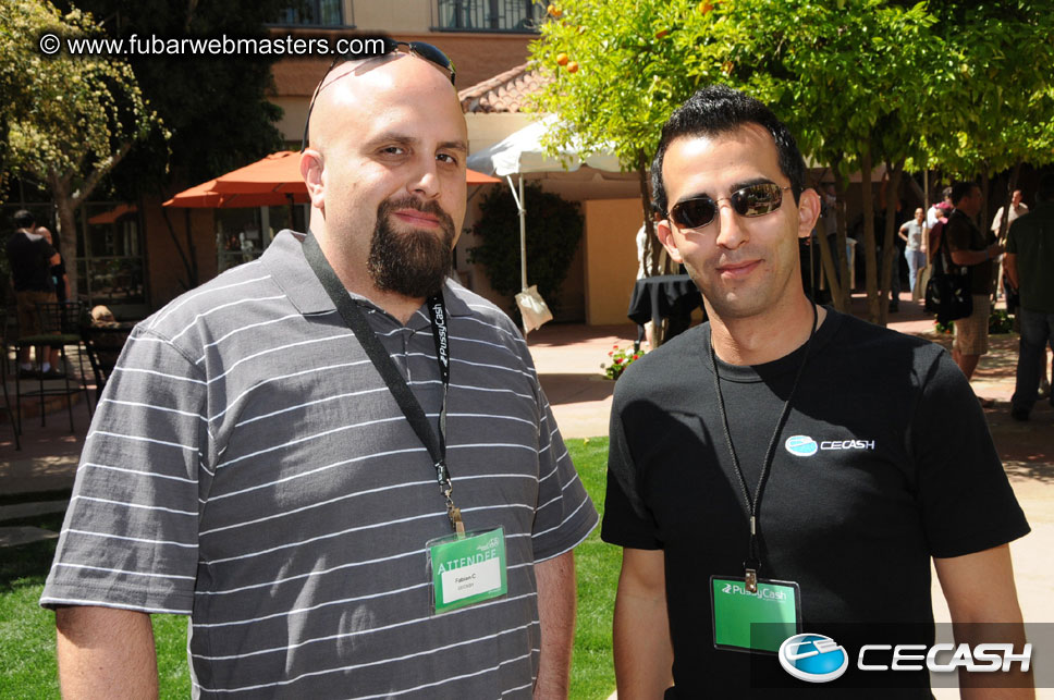 The Tempe Mission Palms