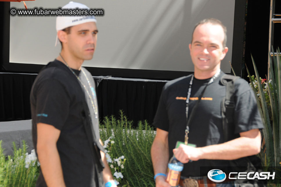 The Tempe Mission Palms