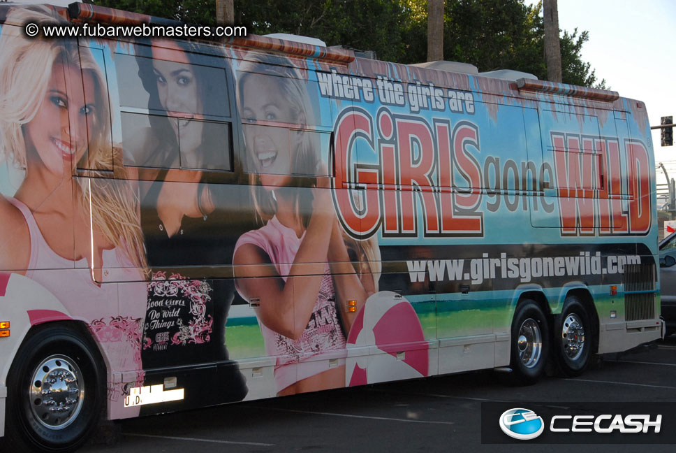 The Tempe Mission Palms