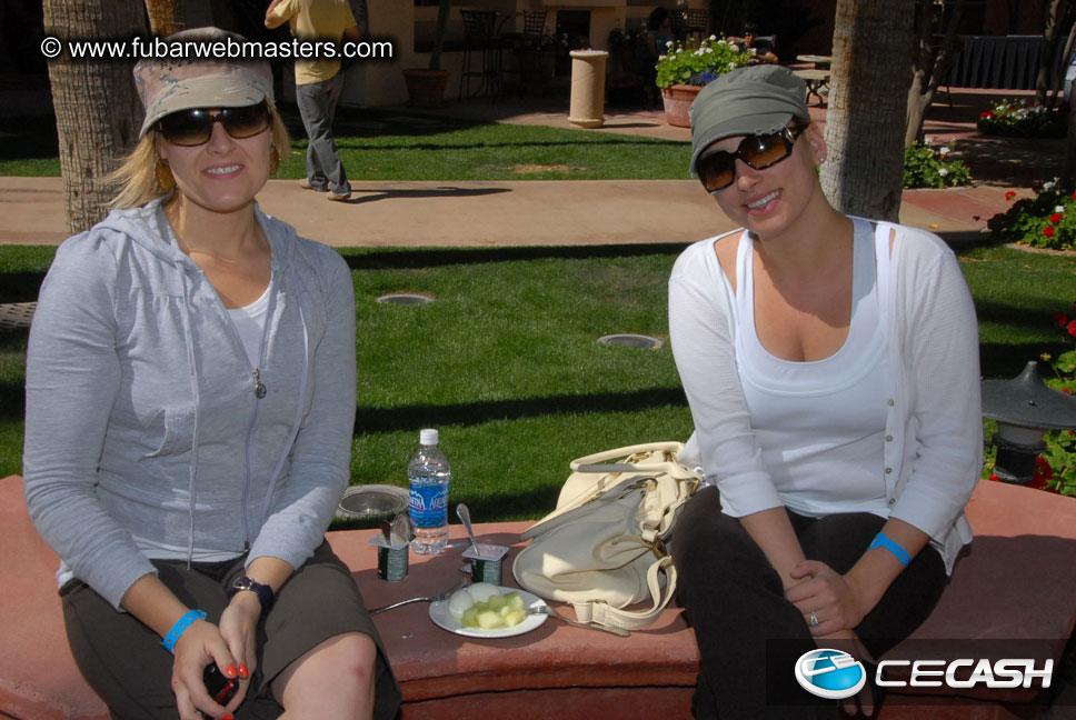 The Tempe Mission Palms