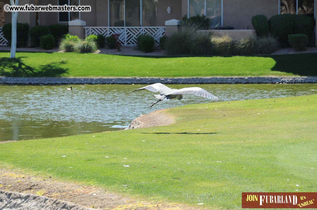 7th Annual TPF Golf Tournament