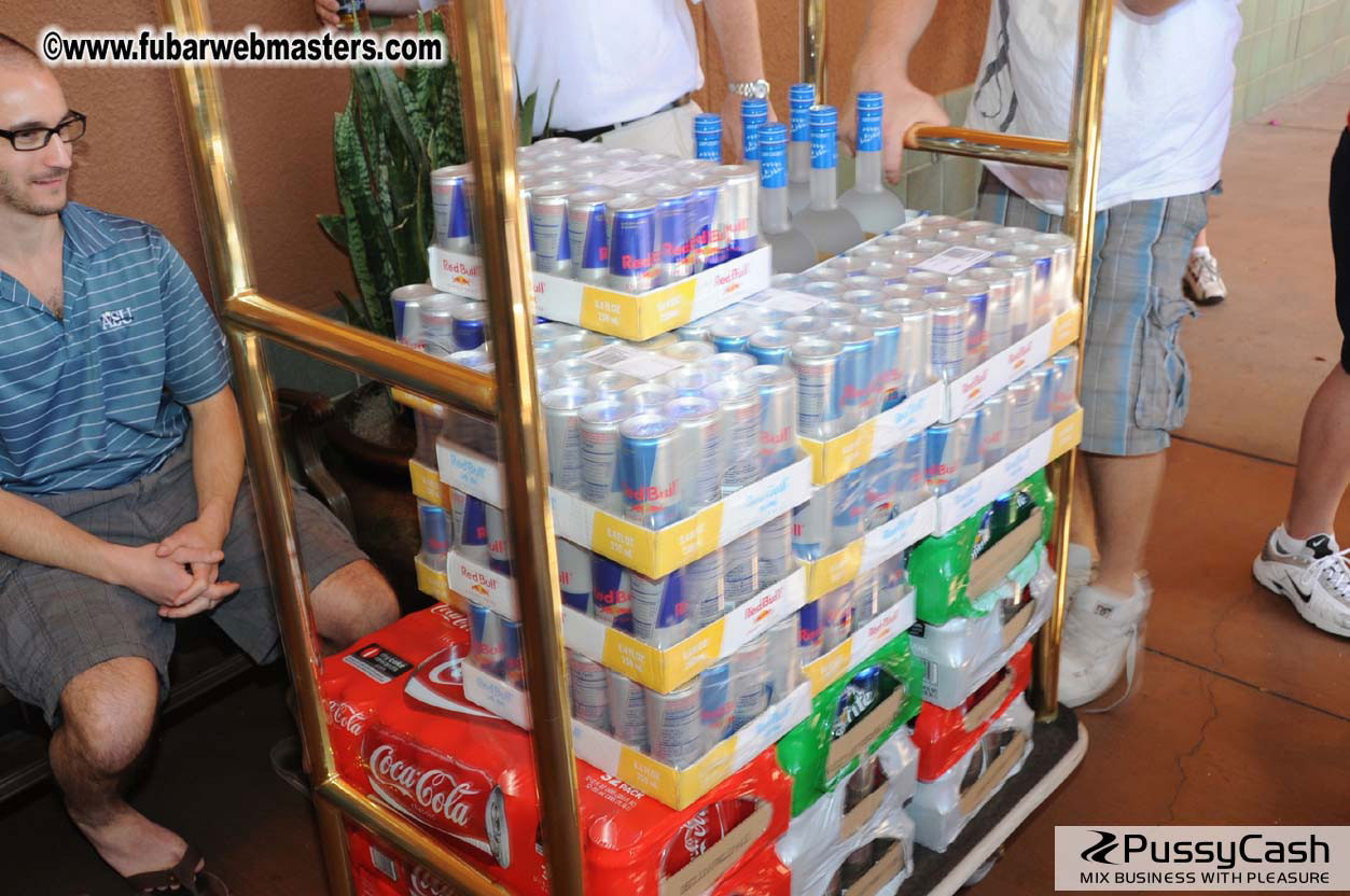 The Tempe Mission Palms