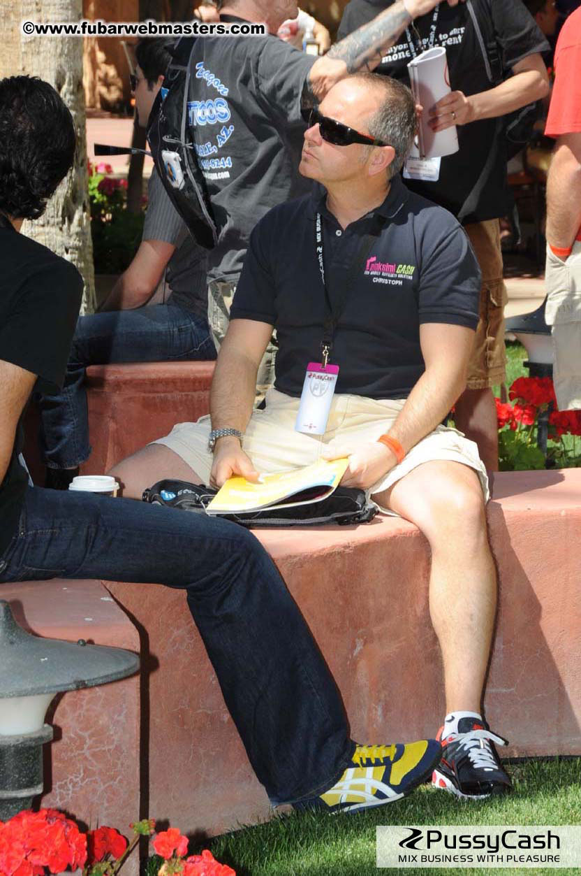 The Tempe Mission Palms