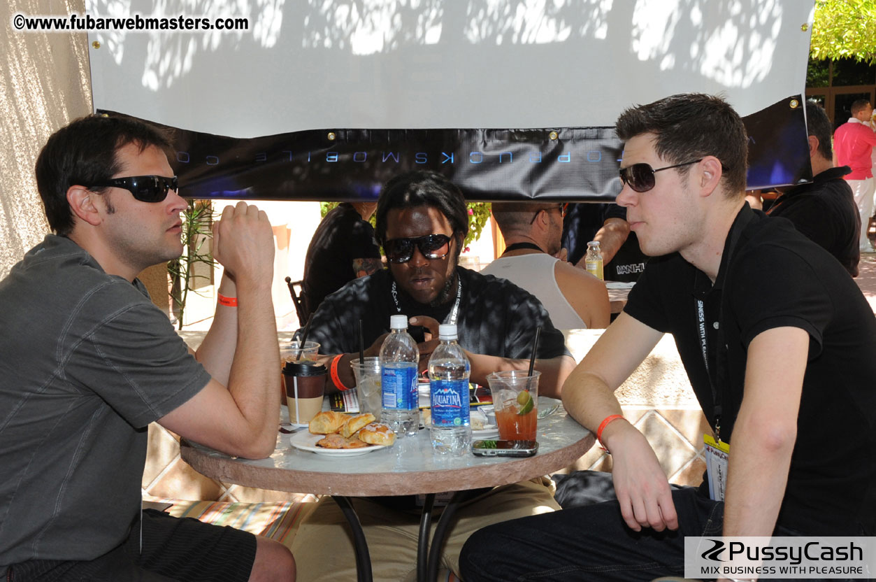 The Tempe Mission Palms