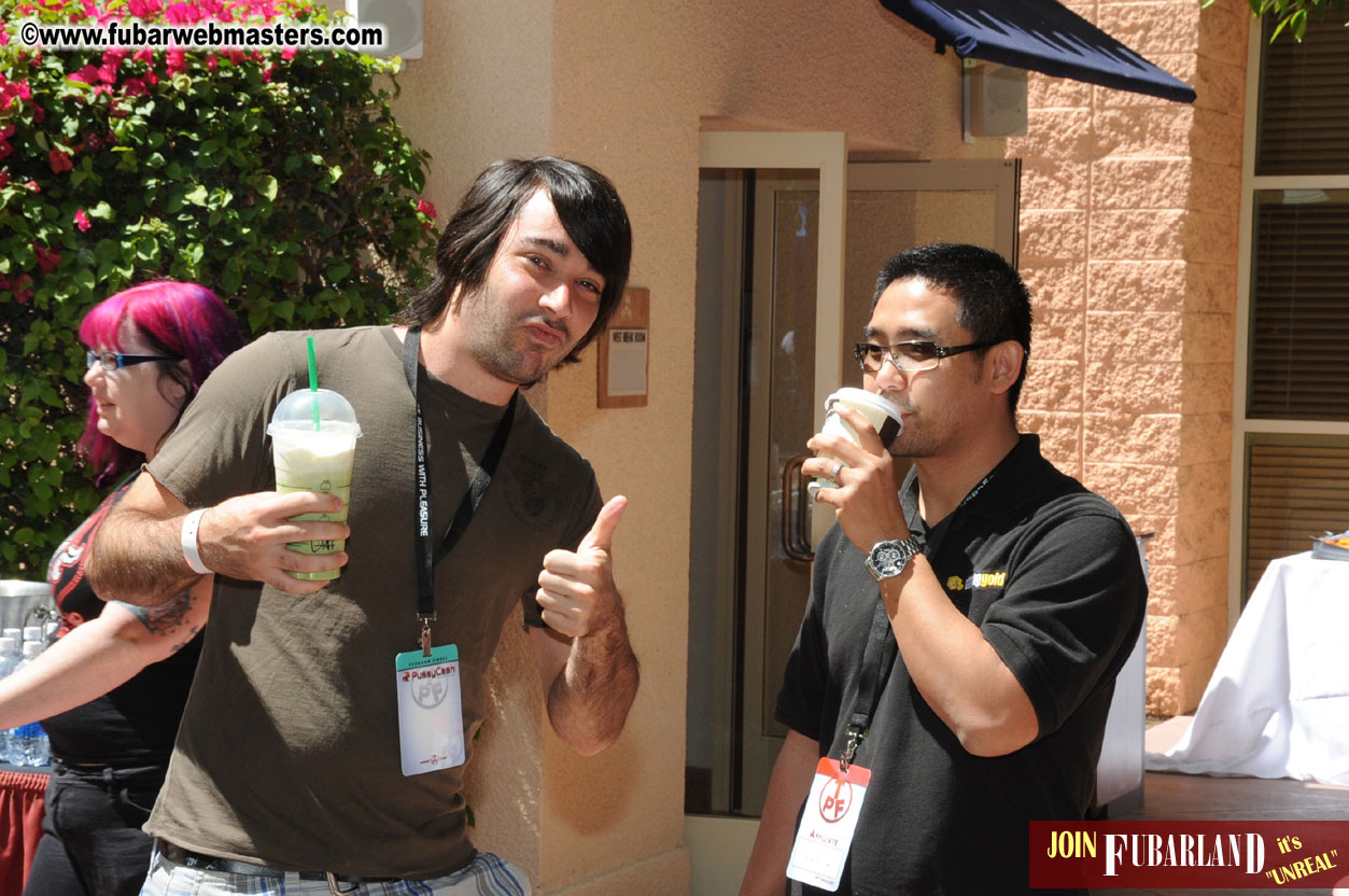 The Tempe Mission Palms