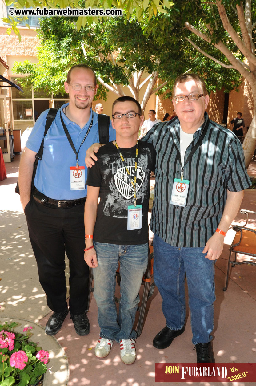 The Tempe Mission Palms