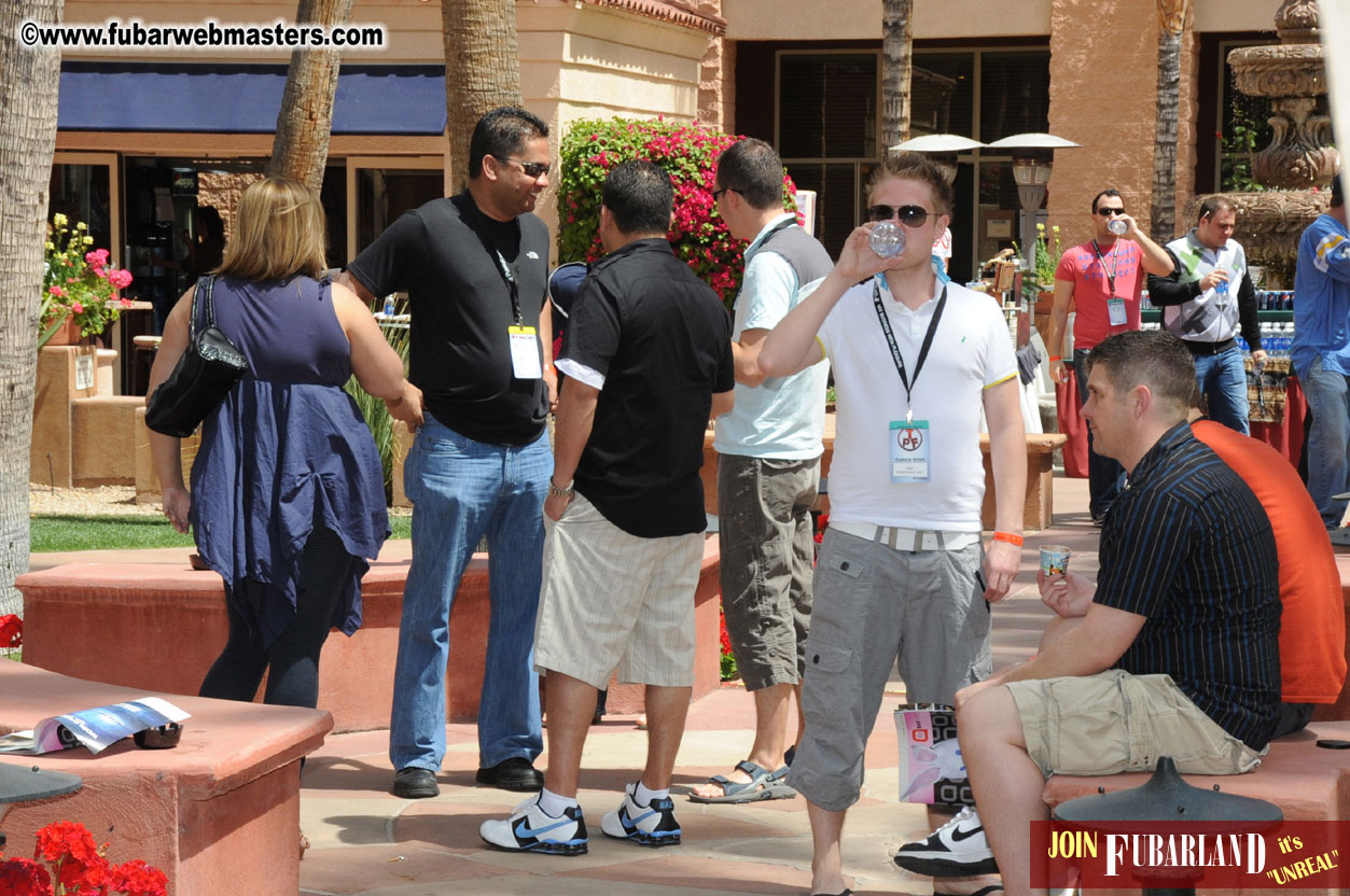 The Tempe Mission Palms