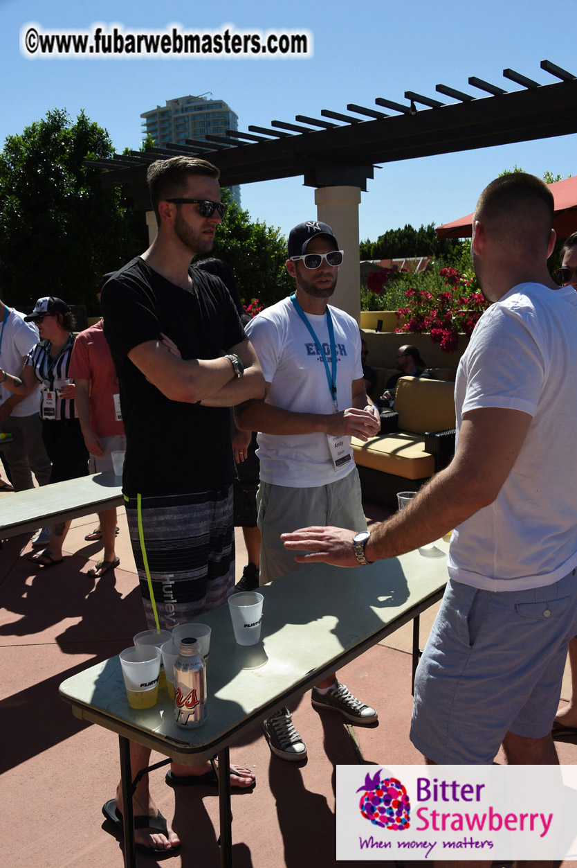 Beer Pong by the Poolside