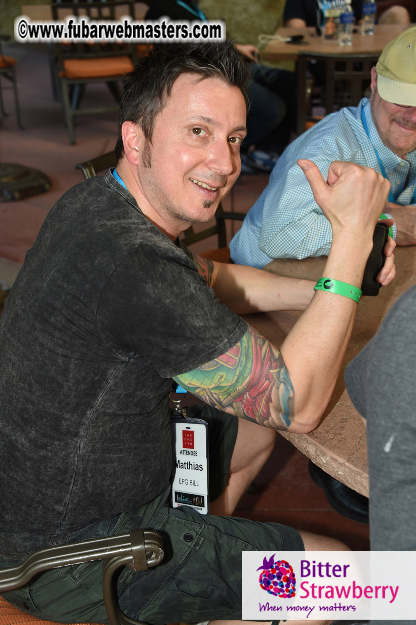 Beer Pong by the Poolside