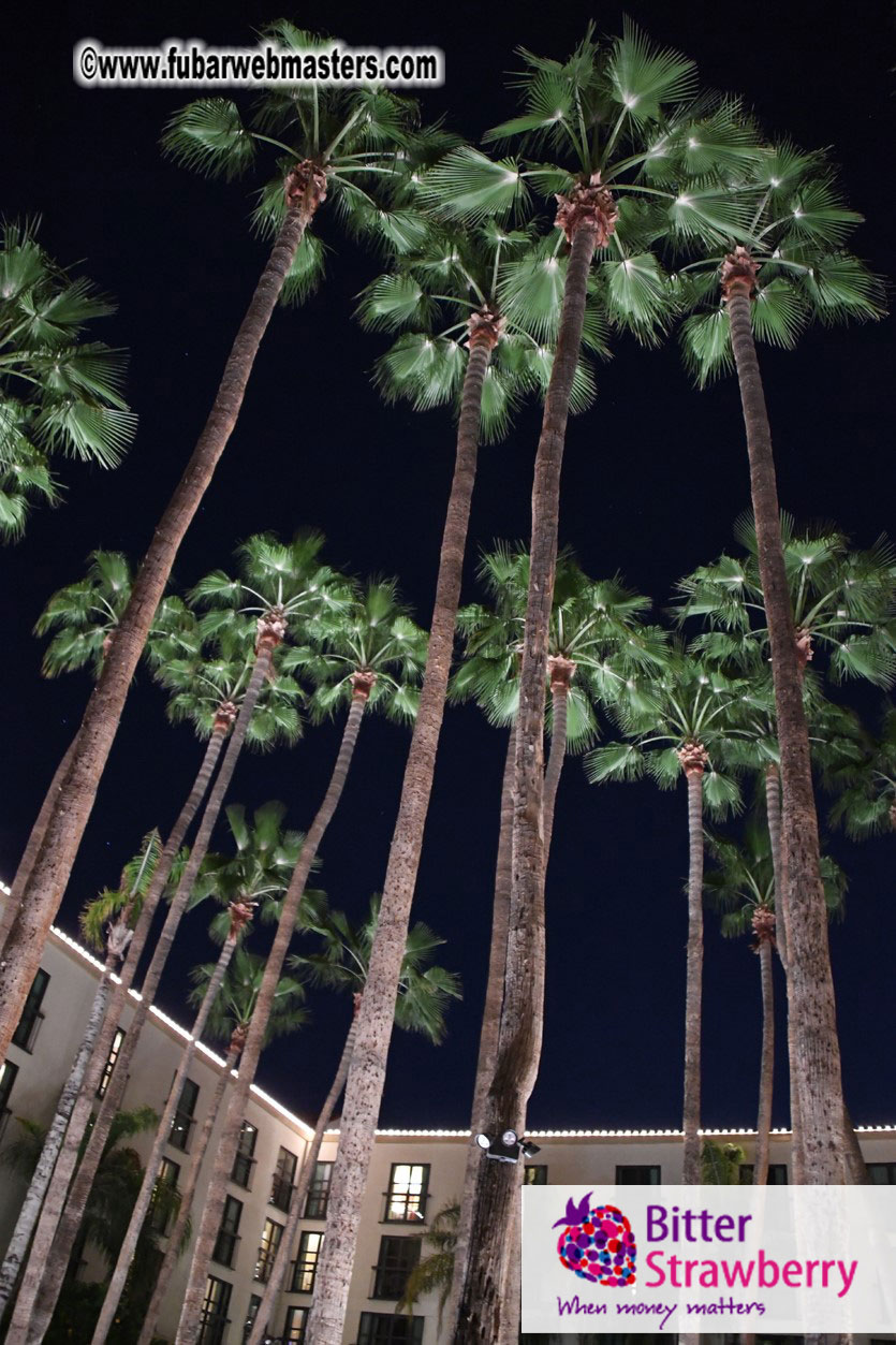 The Calm Before the Storm