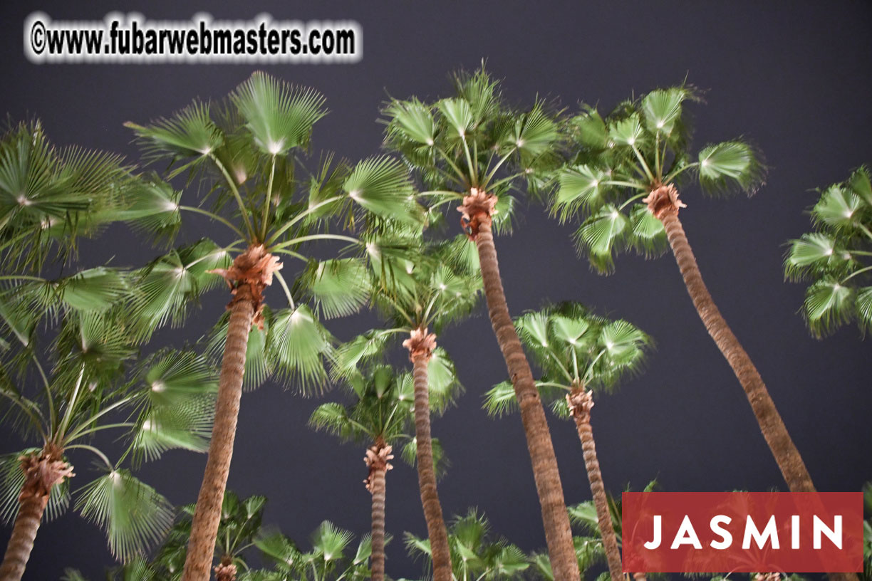 Noche en Blanco Welcome Reception