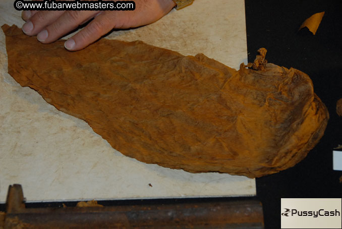 PussyCash Closing Party