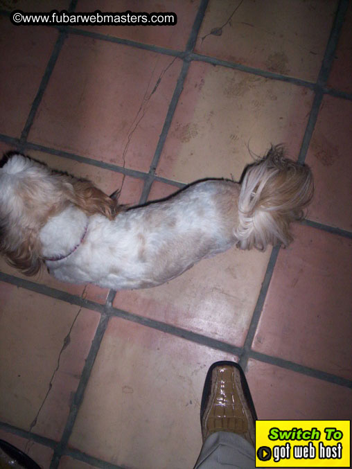 Party held at Basque in Hollywood