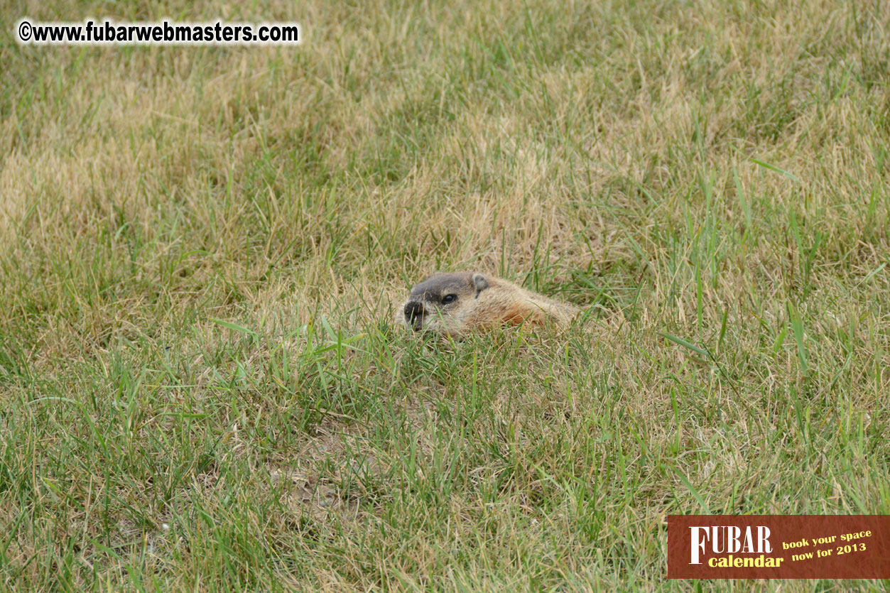 4th ANNUAL QWEBEC OPEN Golf Tournament