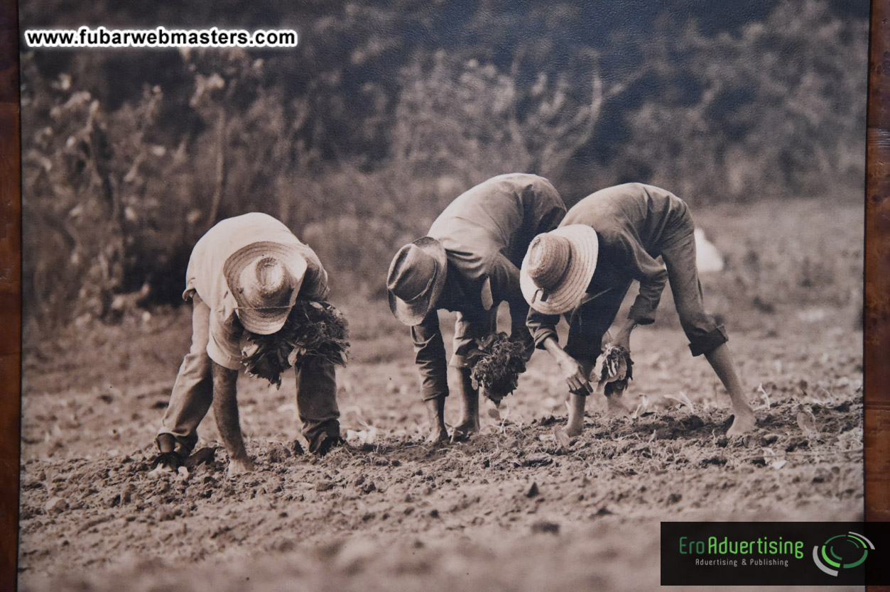 Afternoon Break with Friends