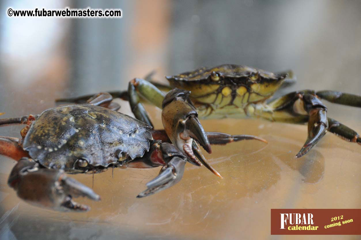 Sights from around London