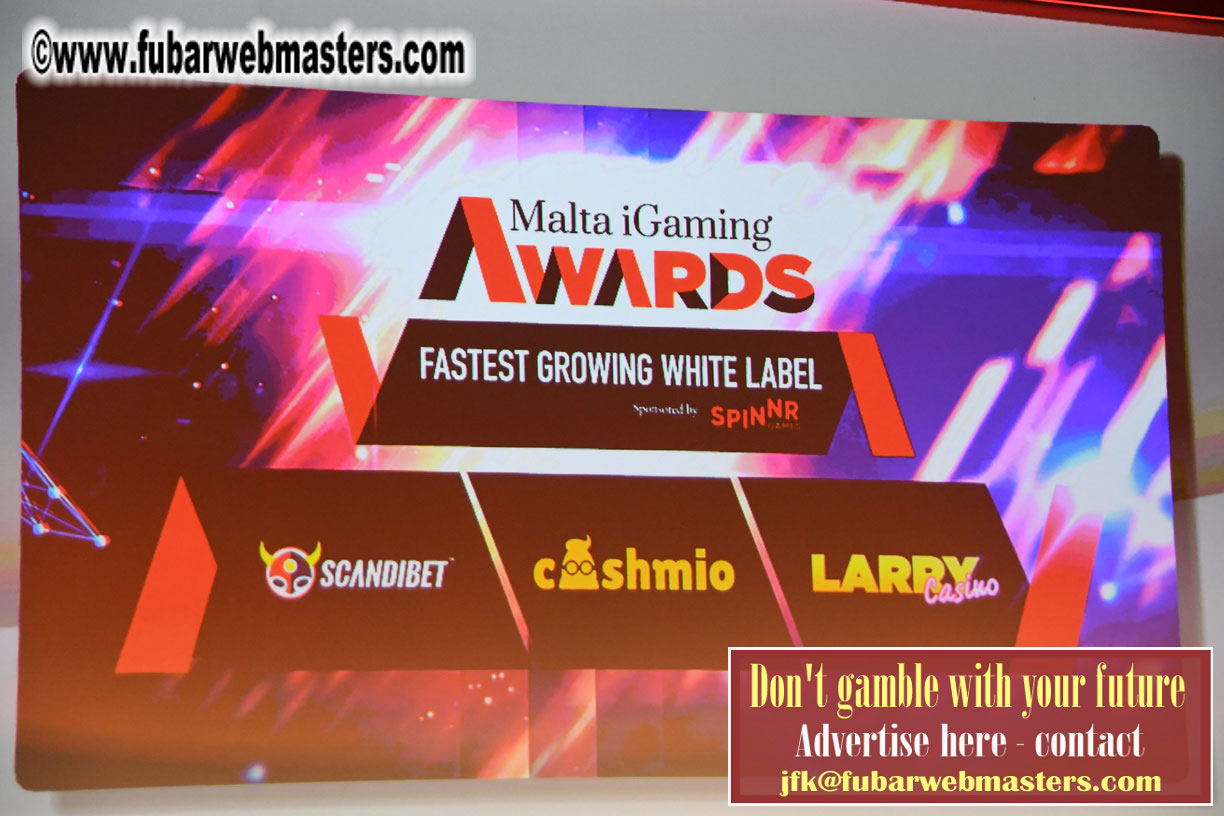 Malta IGaming Awards and Charity Auction