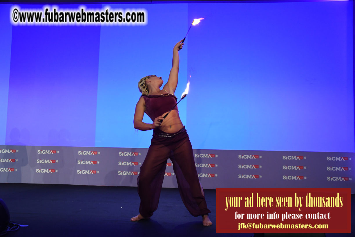 Malta Gaming Awards and Charity Auction