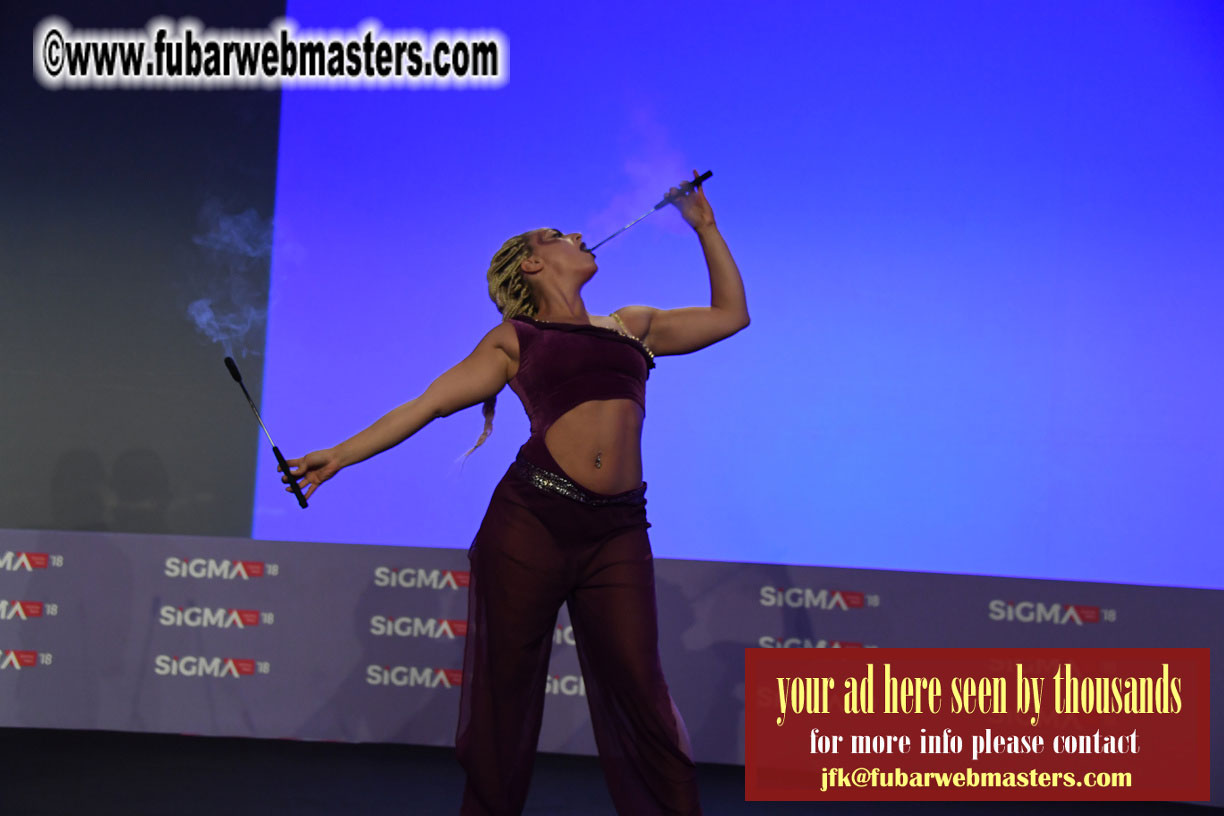 Malta Gaming Awards and Charity Auction