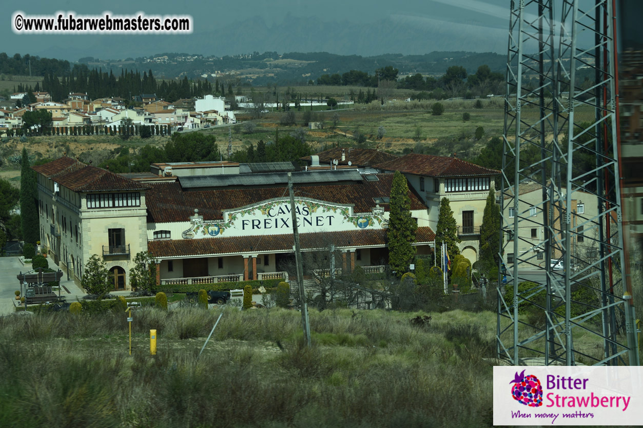 Cavas Codorniu private a la carte visit