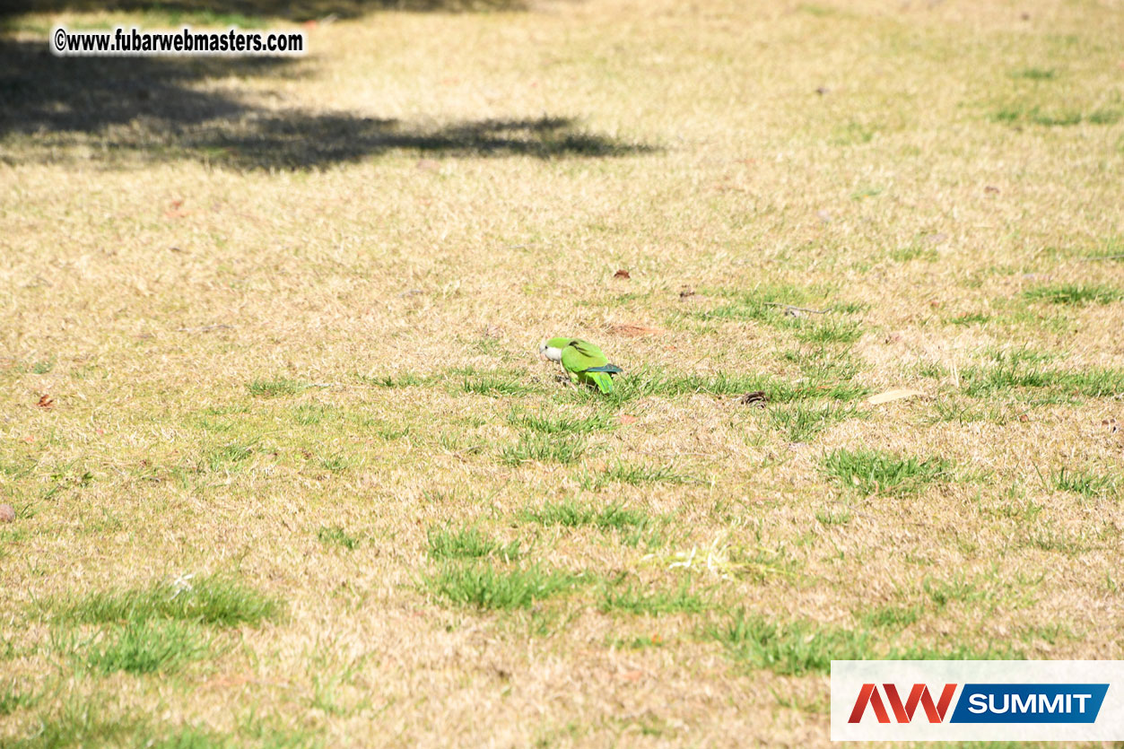 TravelPerk Golf Tournament