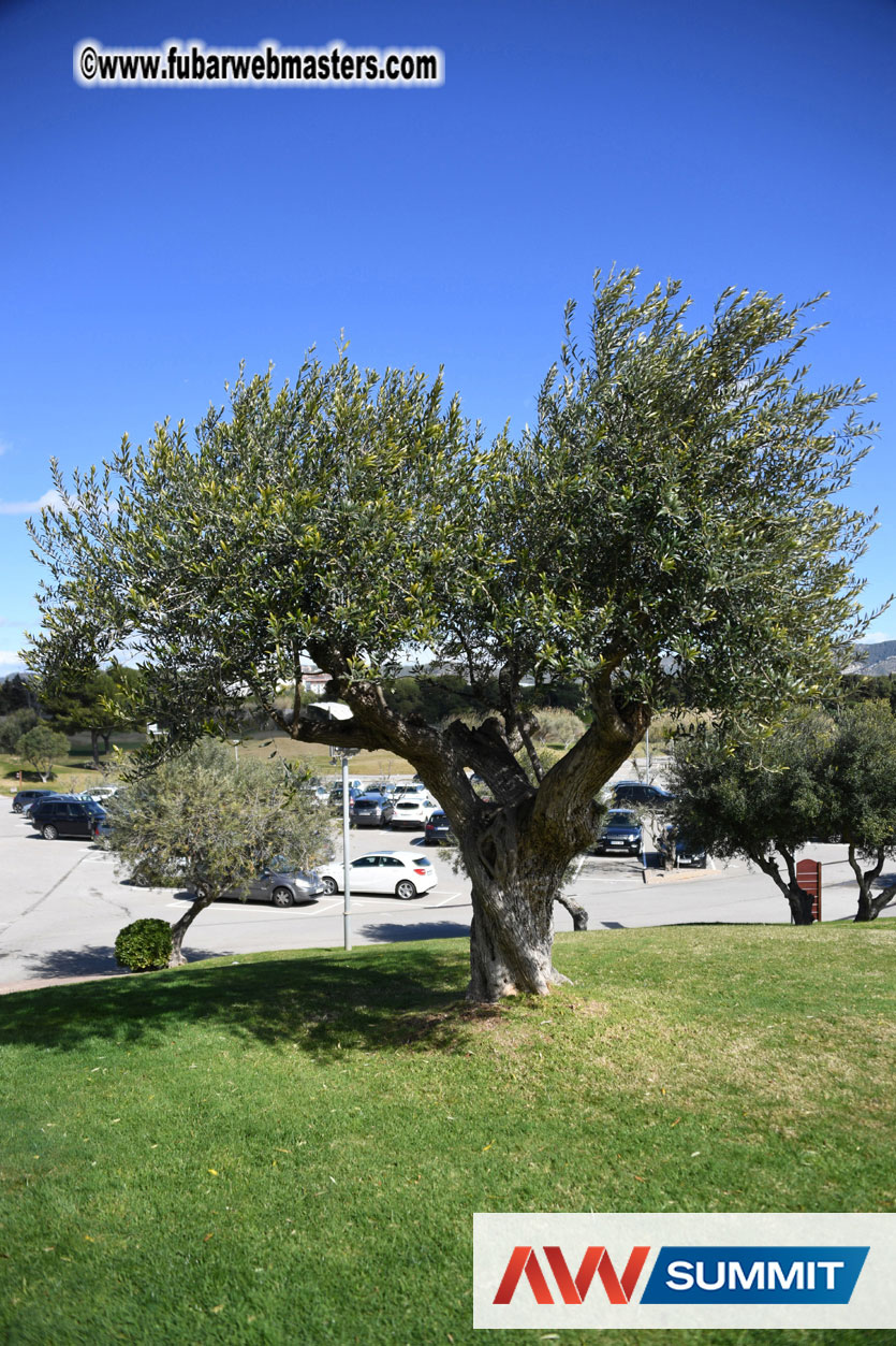 TravelPerk Golf Tournament