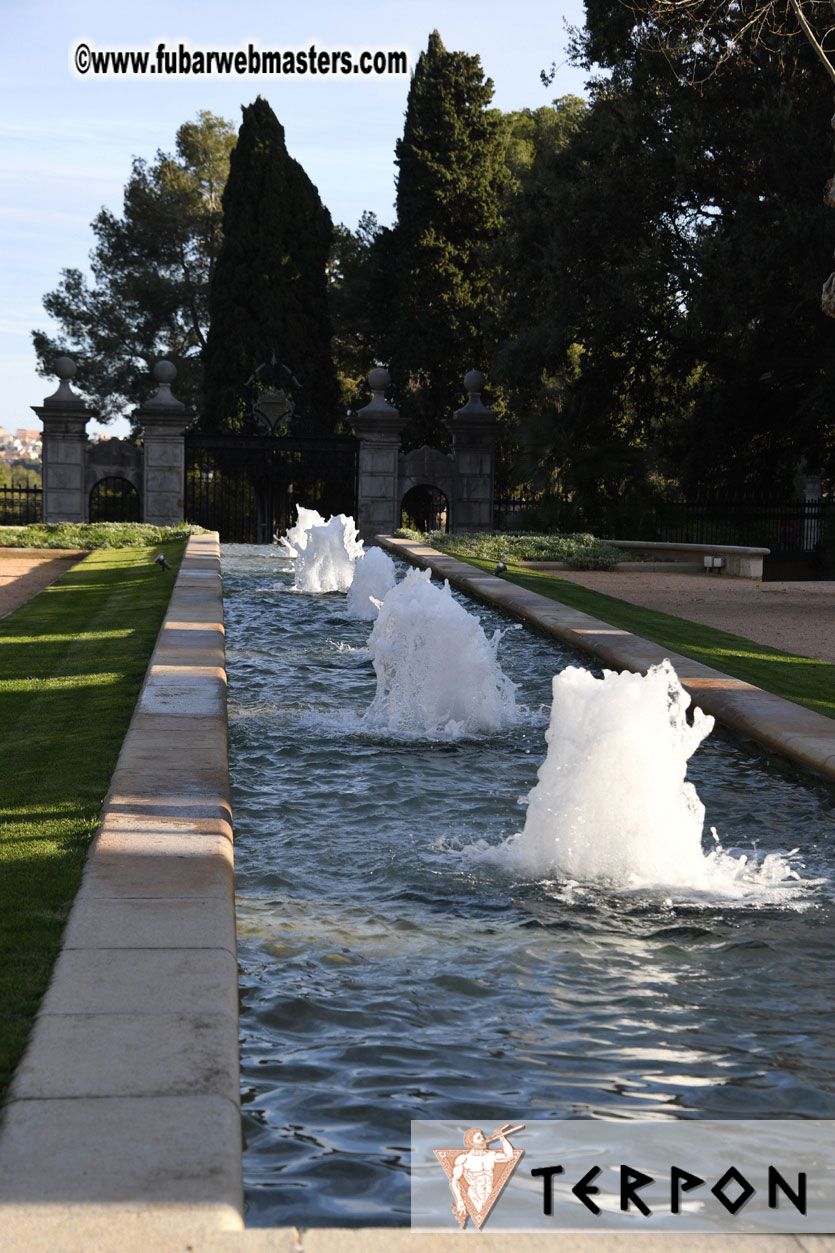 Live Cam Awards Show