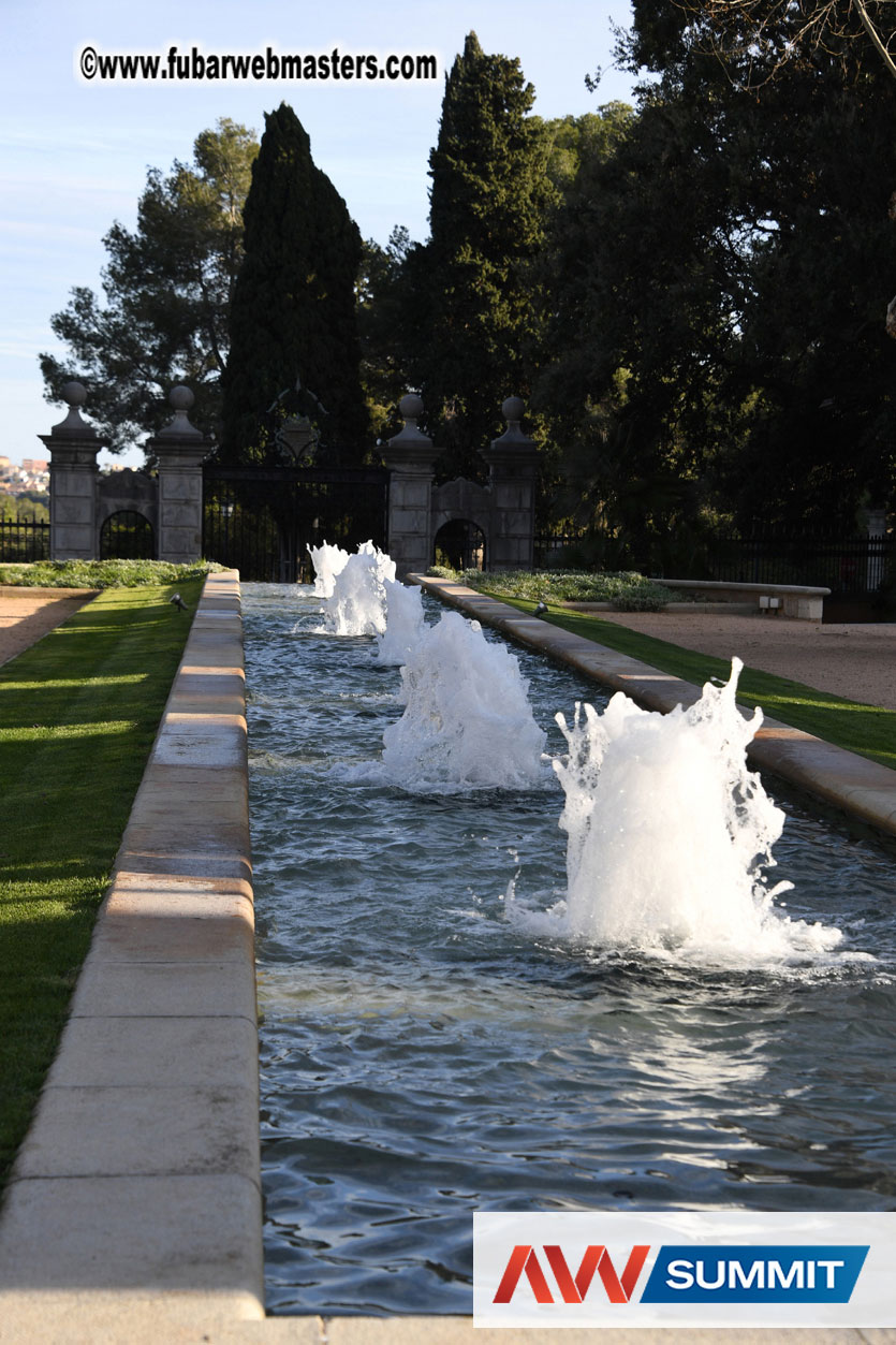 Live Cam Awards Show