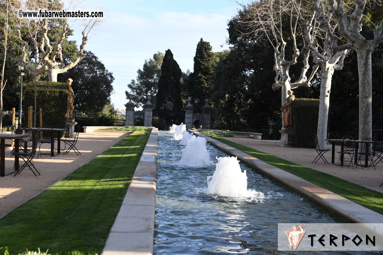 Live Cam Awards Show