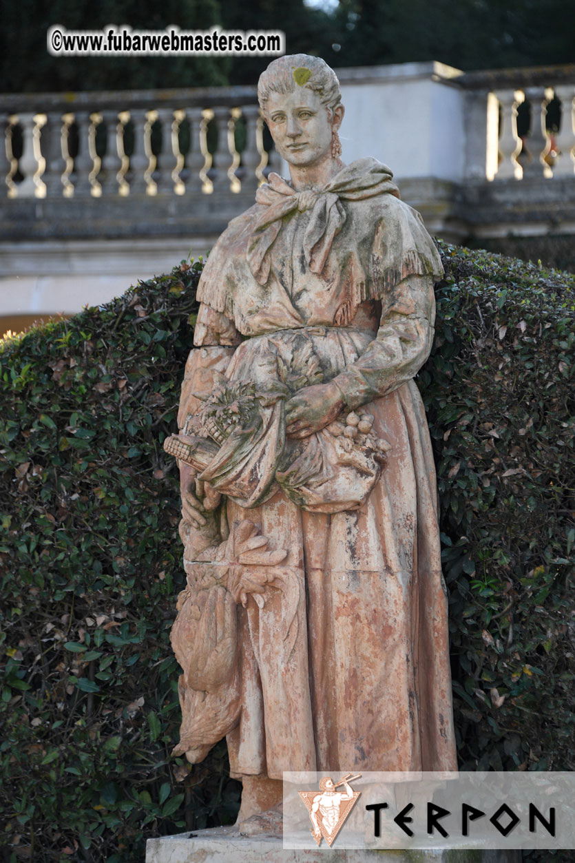 Live Cam Awards Show