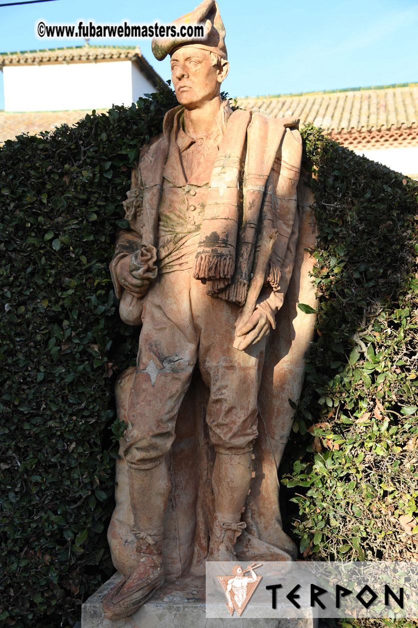 Live Cam Awards Show