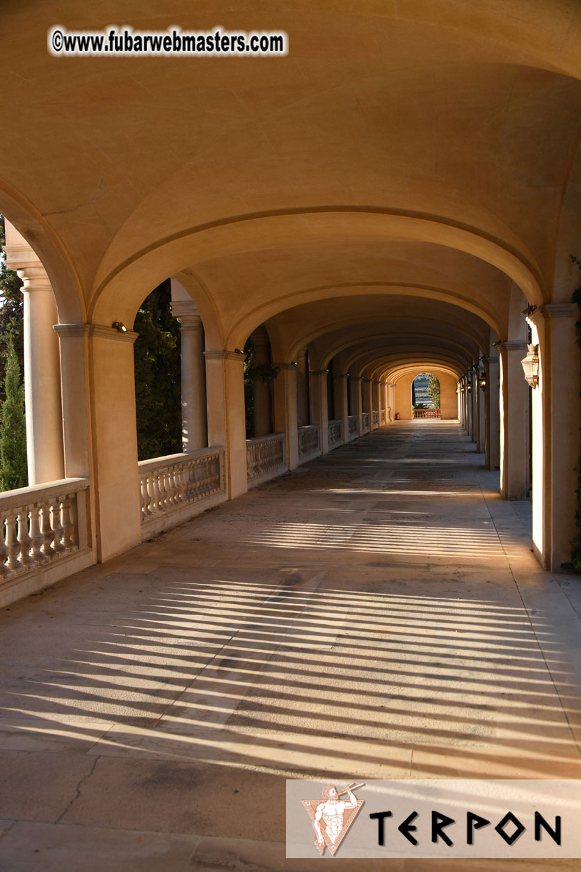 Live Cam Awards Show