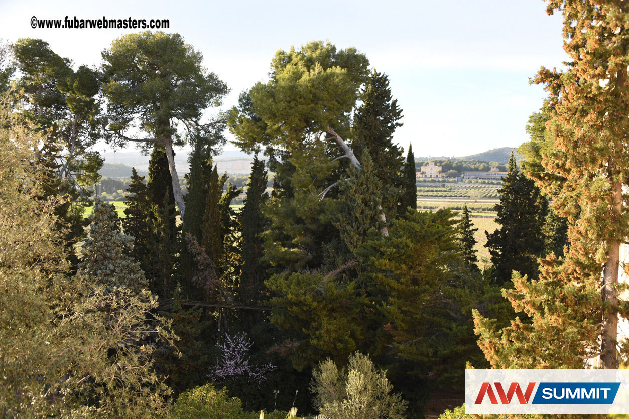 Live Cam Awards Show